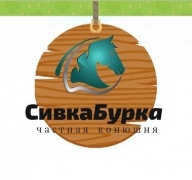 Соревнования по спортивному туризму на конных дистанциях Соревнования по спортивному туризму на конных дистанциях